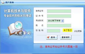 2012年下半年西藏軟件水平考試系統集成項目管理工程師成績查詢指南